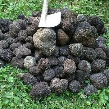 Il Cacciatore Hotel Ovindoli